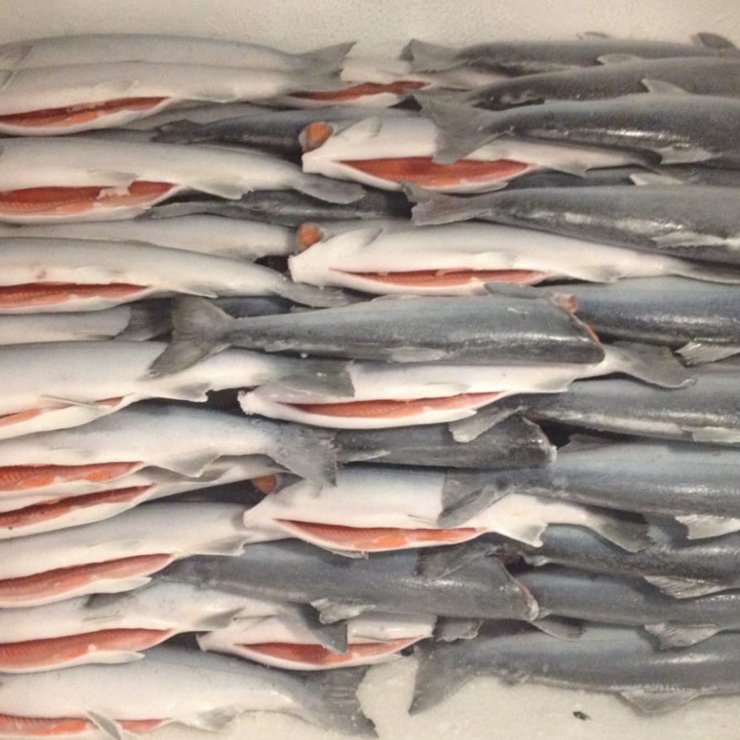 Why Flash-Frozen Seafood is the Freshest Choice You Can Make