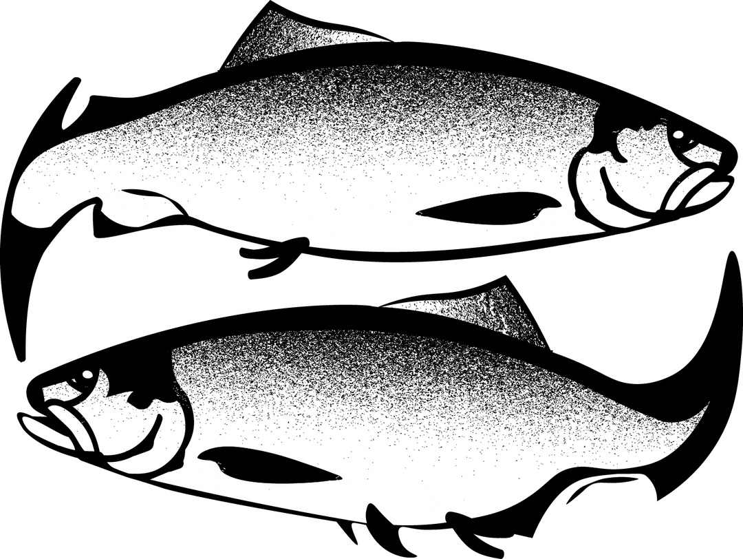 Whidbey Seafoods Acquires Seabolt's Smokehouse: A New Era of Sustainable Seafood