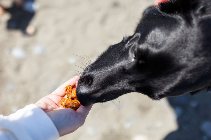 Alaskan Salmon Pet Treats (4-Pack)