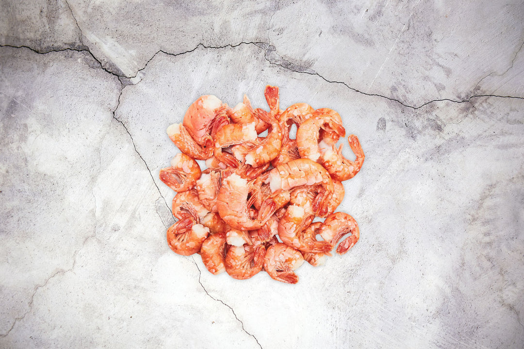Alaskan Sidestripe Shrimp
