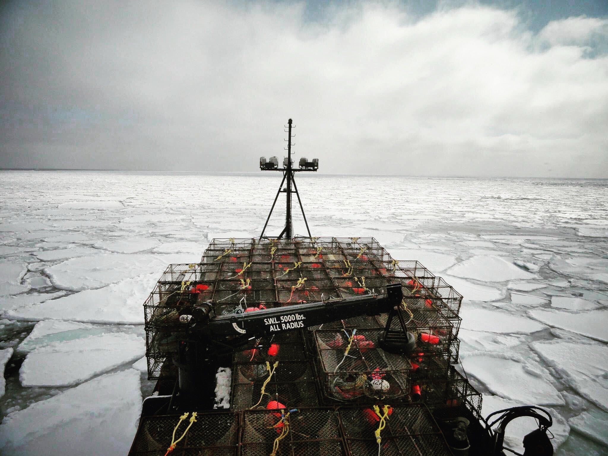 How Whidbey Seafoods is Working to Protect Snow Crab Populations and the Future of Our Oceans