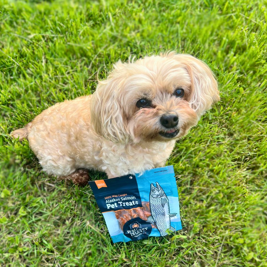 From Our Catch to Your Pet: The Story Behind Our Alaskan Salmon Pet Treats