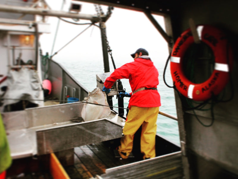 dirtiest-catch-sustainable-harveseting-whidbey-seafoods