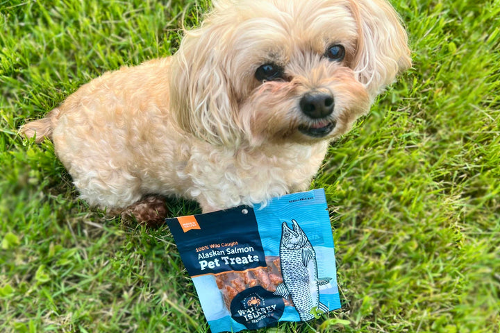Alaskan Salmon Pet Treats (Pack)