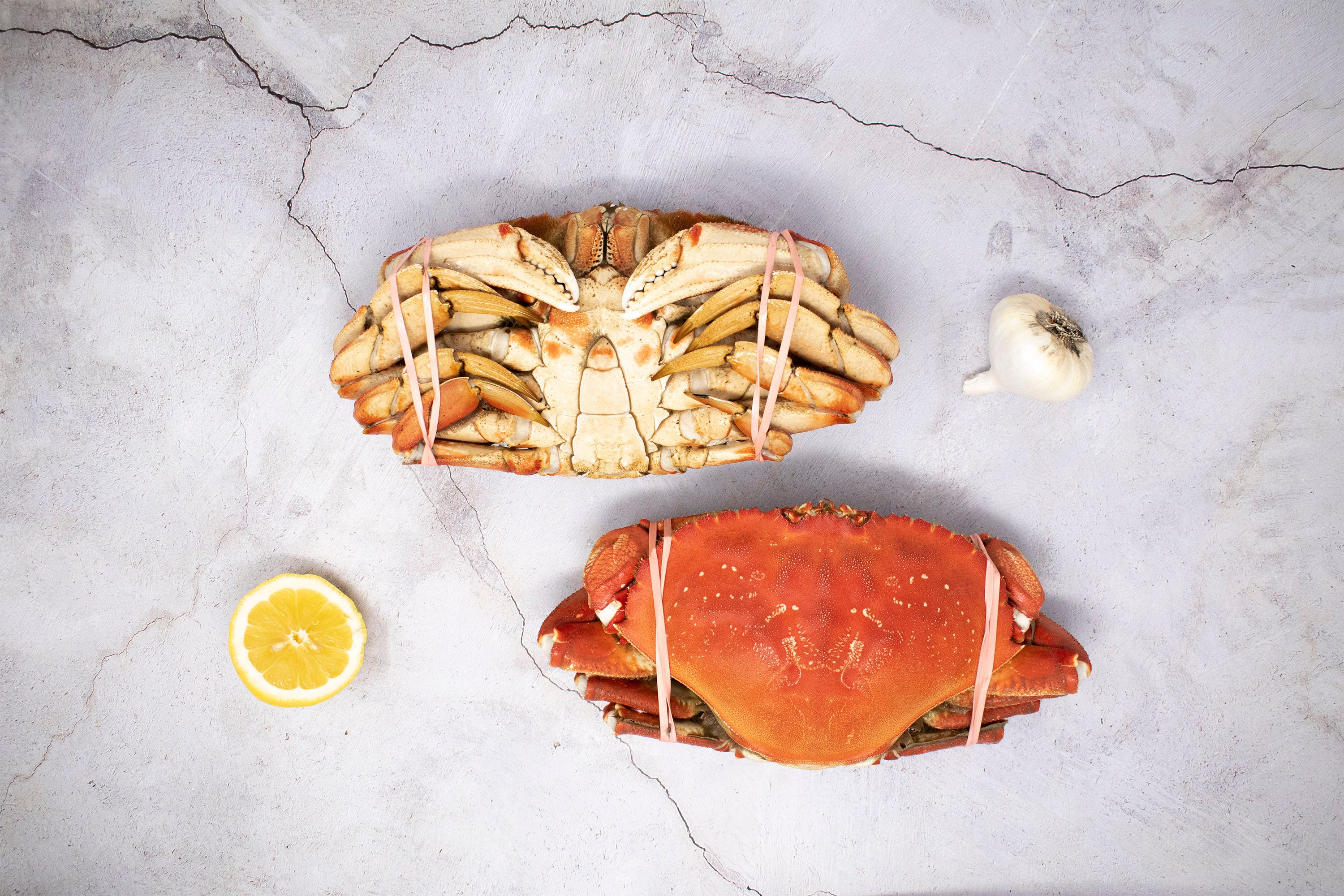 美品★Bing & Grondahl 社「Crab & Fish 」 Vintage 