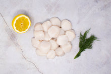 Load image into Gallery viewer, atlantic-scallops-whidbey-seafoods
