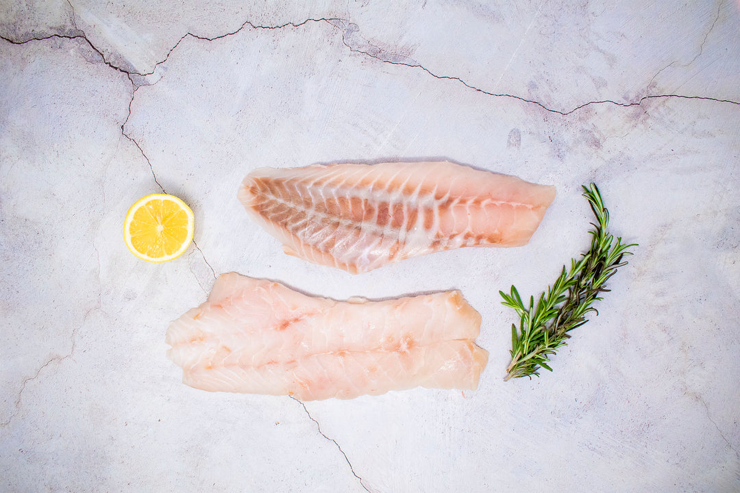 Alaskan Shortraker Rockfish